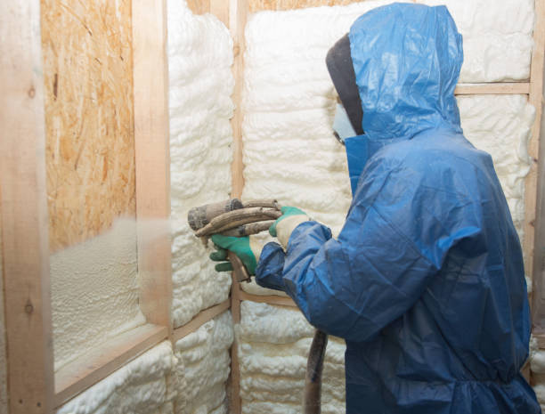 Best Basement Insulation  in Homestead, FL